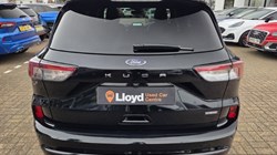 2024 (24) FORD KUGA 2.5 FHEV ST-Line X Edition 5dr CVT 5759846