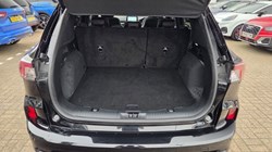 2024 (24) FORD KUGA 2.5 FHEV ST-Line X Edition 5dr CVT 5759848