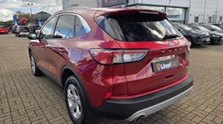 2020 (20) FORD KUGA 2.0 EcoBlue mHEV Zetec 5dr 5827388