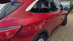 2020 (20) FORD KUGA 2.0 EcoBlue mHEV Zetec 5dr 5827386