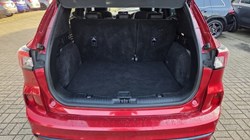 2022 (22) FORD KUGA 1.5 EcoBlue ST-Line X Edition 5dr Auto 5832689