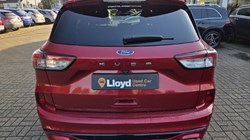 2022 (22) FORD KUGA 1.5 EcoBlue ST-Line X Edition 5dr Auto 5832687
