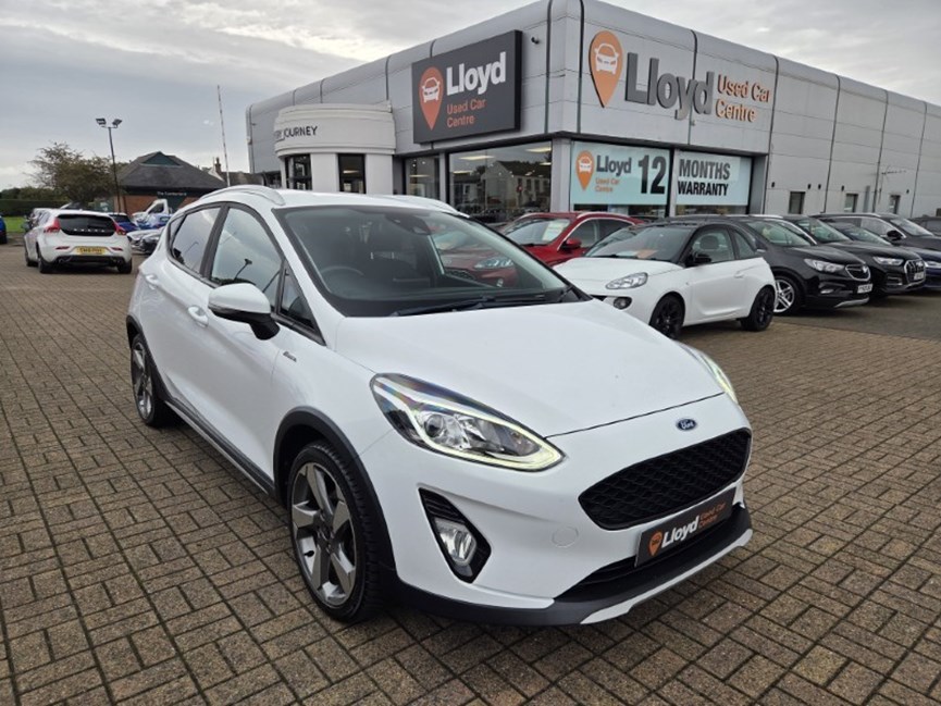 2019 (19) FORD FIESTA 1.0 EcoBoost 125 Active 1 5dr