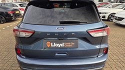2020 (70) FORD KUGA 1.5 EcoBlue ST-Line First Edition 5dr Auto 5866245