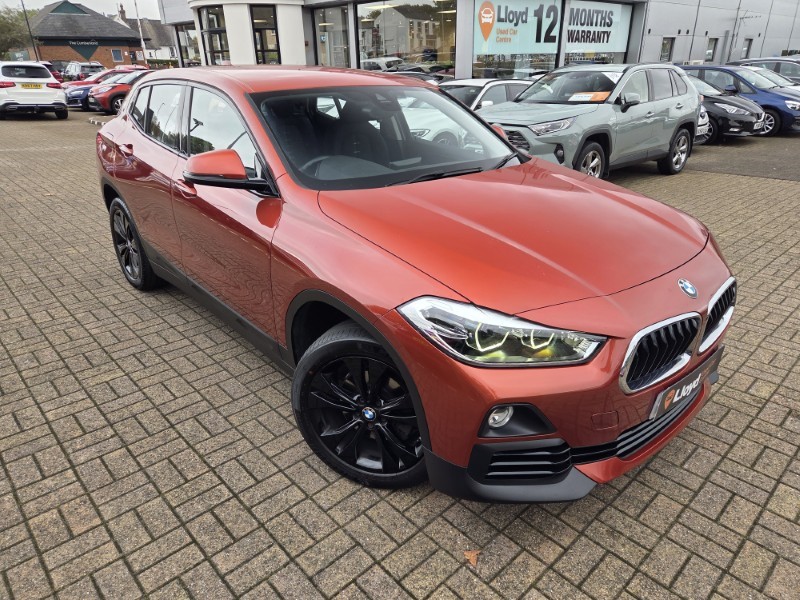 2019 (69) BMW X2 xDrive 18d Sport 5dr Step Auto 5955079