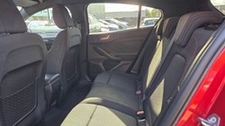2020 (70) FORD FOCUS 1.0 EcoBoost Hybrid mHEV 155 ST-Line Edition 5dr 5951596