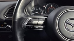 2023 (73) MAZDA CX-30 2.0 e-Skyactiv G MHEV Takumi 5dr 5966140