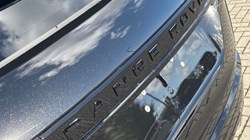LAND ROVER RANGE ROVER EVOQUE 1.5 P270e Dynamic SE 5dr Auto 3553671