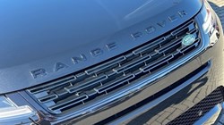 LAND ROVER RANGE ROVER EVOQUE 1.5 P270e Edition 5dr Auto 4059066