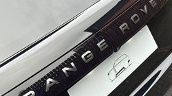 LAND ROVER RANGE ROVER 3.0 D300 SE 4dr Auto 4943618