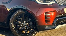 LAND ROVER DISCOVERY 3.0 D350 Gemini 5dr Auto 5292838