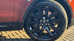 LAND ROVER DISCOVERY 3.0 D350 Gemini 5dr Auto 5292845