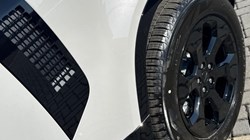 LAND ROVER DEFENDER 3.0 D250 X-Dynamic SE 110 5dr Auto 5592750