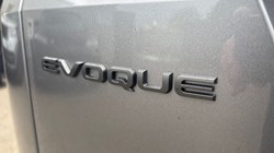2025 (75) LAND ROVER RANGE ROVER EVOQUE 2.0 D200 Dynamic SE 5dr Auto 5273947
