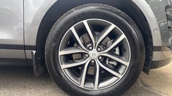 2025 (75) LAND ROVER RANGE ROVER EVOQUE 2.0 D200 Dynamic SE 5dr Auto 5273906