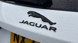 2024 (24) JAGUAR F-PACE 2.0 D200 R-Dynamic SE Black 5dr Auto AWD 4689025