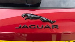 2021 (70) JAGUAR F-PACE 2.0 P250 HSE 5dr Auto AWD 4812664