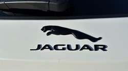 2022 (22) JAGUAR F-PACE 2.0 P400e R-Dynamic Black 5dr Auto AWD 4848948