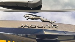 2023 (73) JAGUAR F-PACE 2.0 D200 R-Dynamic HSE Black 5dr Auto AWD 4867317