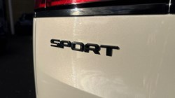 2023 (73) LAND ROVER RANGE ROVER SPORT 3.0 P440e Dynamic SE 5dr Auto 4927537