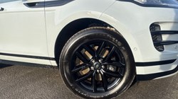 2026 (75) LAND ROVER RANGE ROVER EVOQUE 1.5 P270e Dynamic SE 5dr Auto 5497743