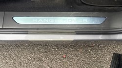2024 (24) LAND ROVER RANGE ROVER EVOQUE 1.5 P270e Dynamic HSE 5dr Auto 4941110