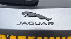 2023 (73) JAGUAR F-PACE 2.0 D200 R-Dynamic SE Black 5dr Auto AWD 4941009