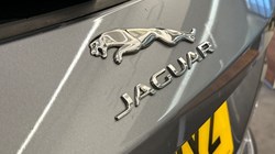 2019 (69) JAGUAR F-PACE 2.0d R-Sport 5dr Auto AWD 3045110