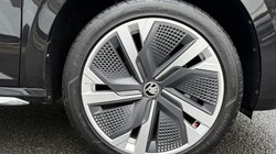 SKODA KAMIQ 1.0 TSI SE L Edition 5dr 4694698