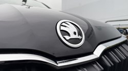 SKODA KAMIQ 1.0 TSI SE L Edition 5dr 4694738
