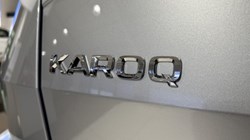 SKODA KAROQ 1.5 TSI SE L Edition 5dr DSG 4739113