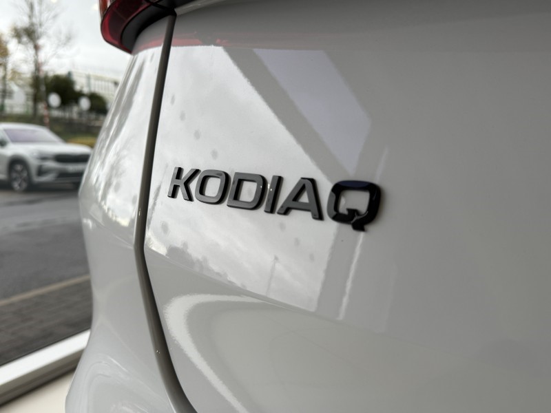  SKODA KODIAQ 2.0 TDI 193 SportLine 4X4 5dr DSG [7 Seat] 4745673