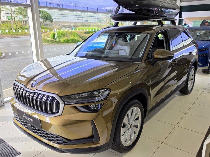  SKODA KODIAQ 2.0 TSI 204 SE L 4X4 5dr DSG [7 Seat] 5298427