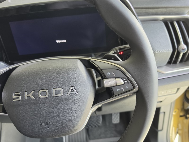  SKODA KODIAQ 2.0 TSI 204 SE L 4X4 5dr DSG [7 Seat] 5298446