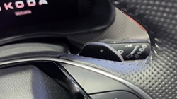 SKODA SCALA 1.0 TSI 116 Monte Carlo Edition 5dr DSG 5298420