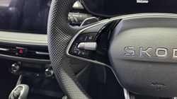 SKODA FABIA 1.5 TSI 177 130 5dr DSG 5298338