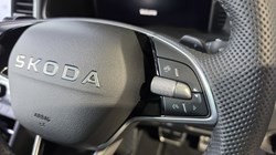 SKODA KAROQ 1.5 TSI Sportline Edition 5dr DSG 5366752
