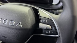 Fabia 1.0 TSI 116 SE L Edition 5Dr DSG Hatchback 5908866