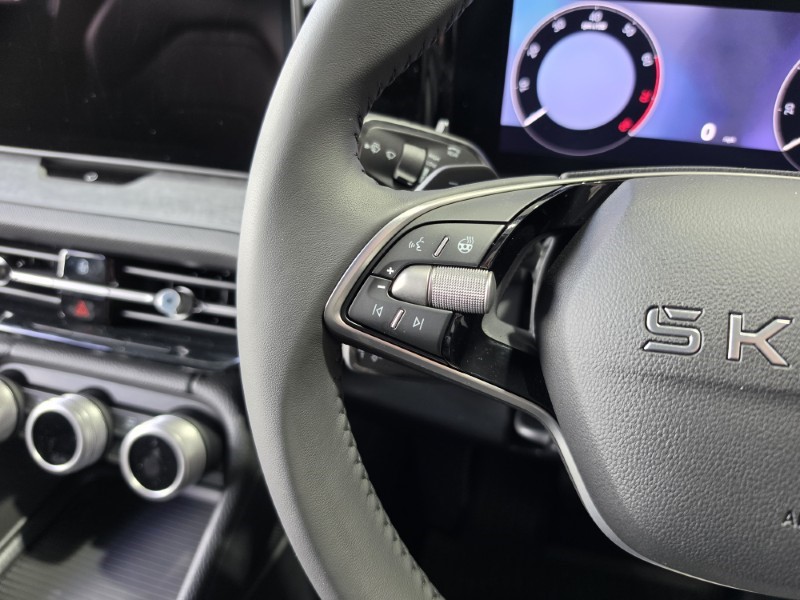  SKODA KODIAQ 1.5 TSI e-TEC SE L 5dr DSG [7 Seat] 5791396