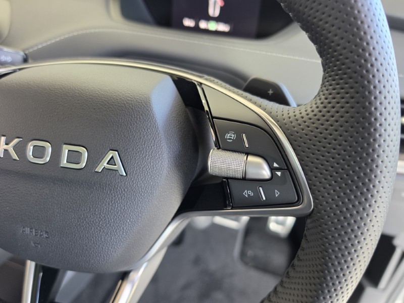  SKODA ENYAQ 250kW vRS 82kWh 4x4 5dr Auto 5856606
