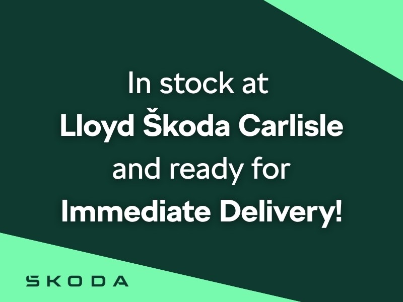  SKODA KODIAQ 1.5 TSI e-TEC SE 5dr DSG [7 Seat] 5908492