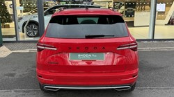 2025 (25) SKODA KAROQ 1.5 TSI Sportline Edition 5dr DSG 4902860