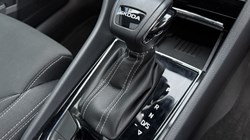 2025 (25) SKODA KAROQ 1.5 TSI Sportline Edition 5dr DSG 4902882