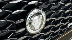 2024 (24) JAGUAR E-PACE 1.5 P300e R-Dynamic HSE Black 5dr Auto 3429913