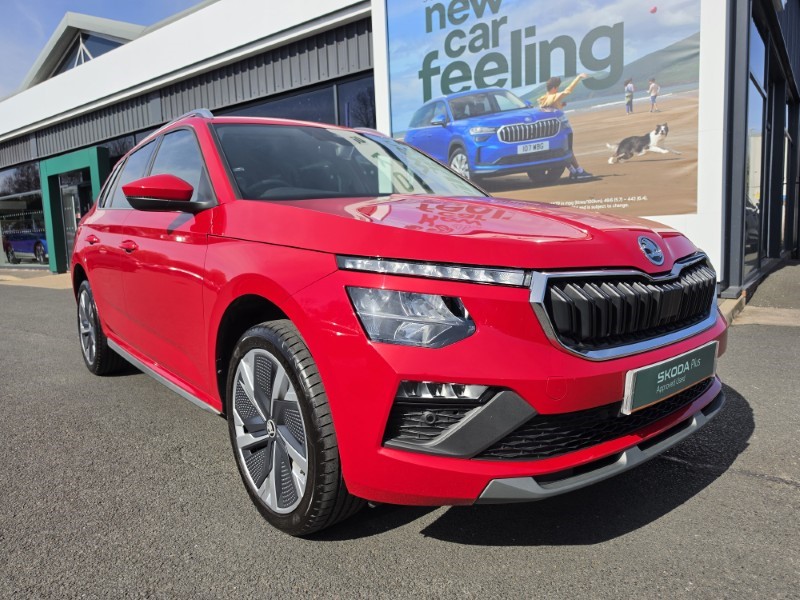 2025 (25) SKODA KAMIQ 1.0 TSI SE L Edition 5dr DSG