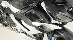 BMW Motorrad M 1000 R (23Y) 5832183