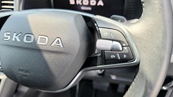 2025 (75) SKODA KAROQ 1.5 TSI SE L Edition 5dr DSG 5617037