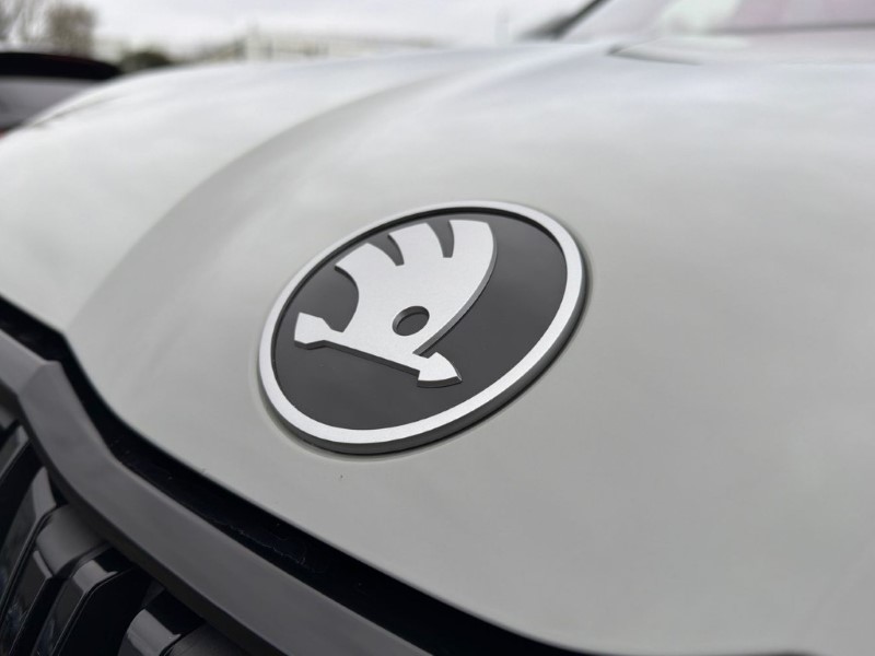 2025 (75) SKODA KODIAQ 2.0 TSI vRS 4X4 5dr DSG [7 Seat] 5089333