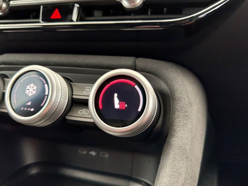 2025 (75) SKODA KODIAQ 2.0 TSI vRS 4X4 5dr DSG [7 Seat] 5089309