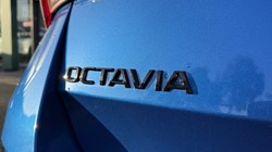 2023 (73) SKODA OCTAVIA 2.0 TDI 200 vRS 4x4 5dr DSG 4723152